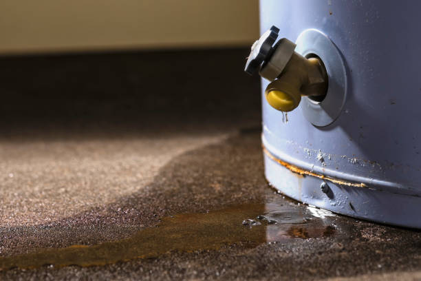 Best Flood restoration services  in Shelbyville, KY