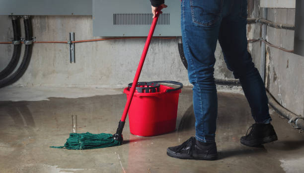Best Flood restoration services  in Shelbyville, KY