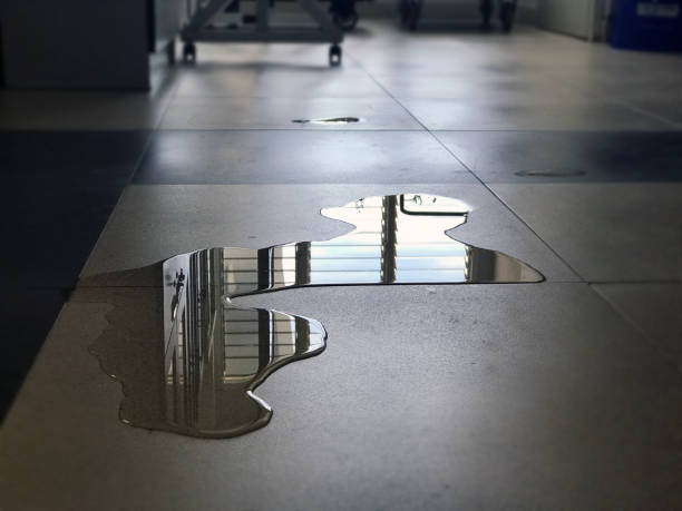Best 24-hour water damage restoration  in Shelbyville, KY