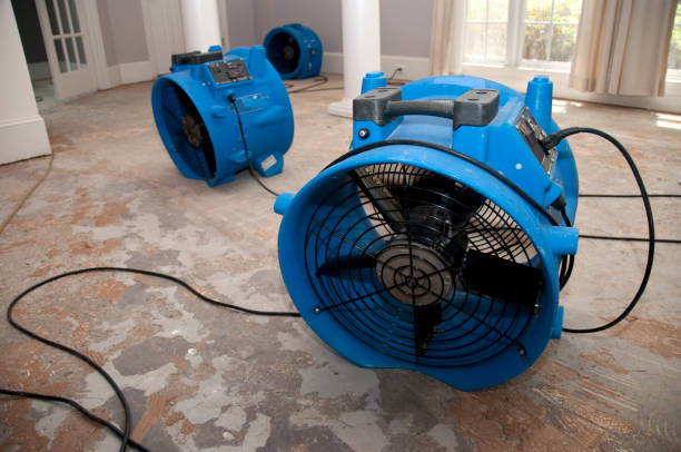 Best Basement water damage restoration  in Shelbyville, KY