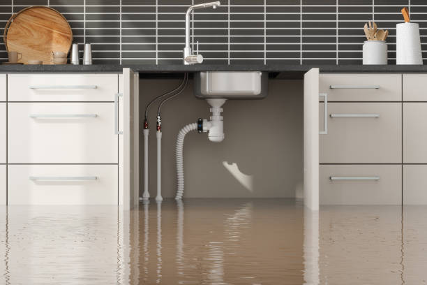 Best Water damage cleanup near me  in Shelbyville, KY