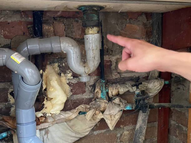 Best Residential water damage restoration  in Shelbyville, KY